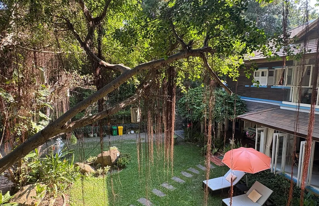 Banyan House Samui Bed And Breakfast (Adults Only)-1